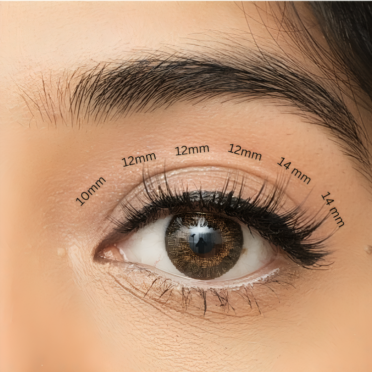 C Curl Clusters Home Eyelash Extension Kit